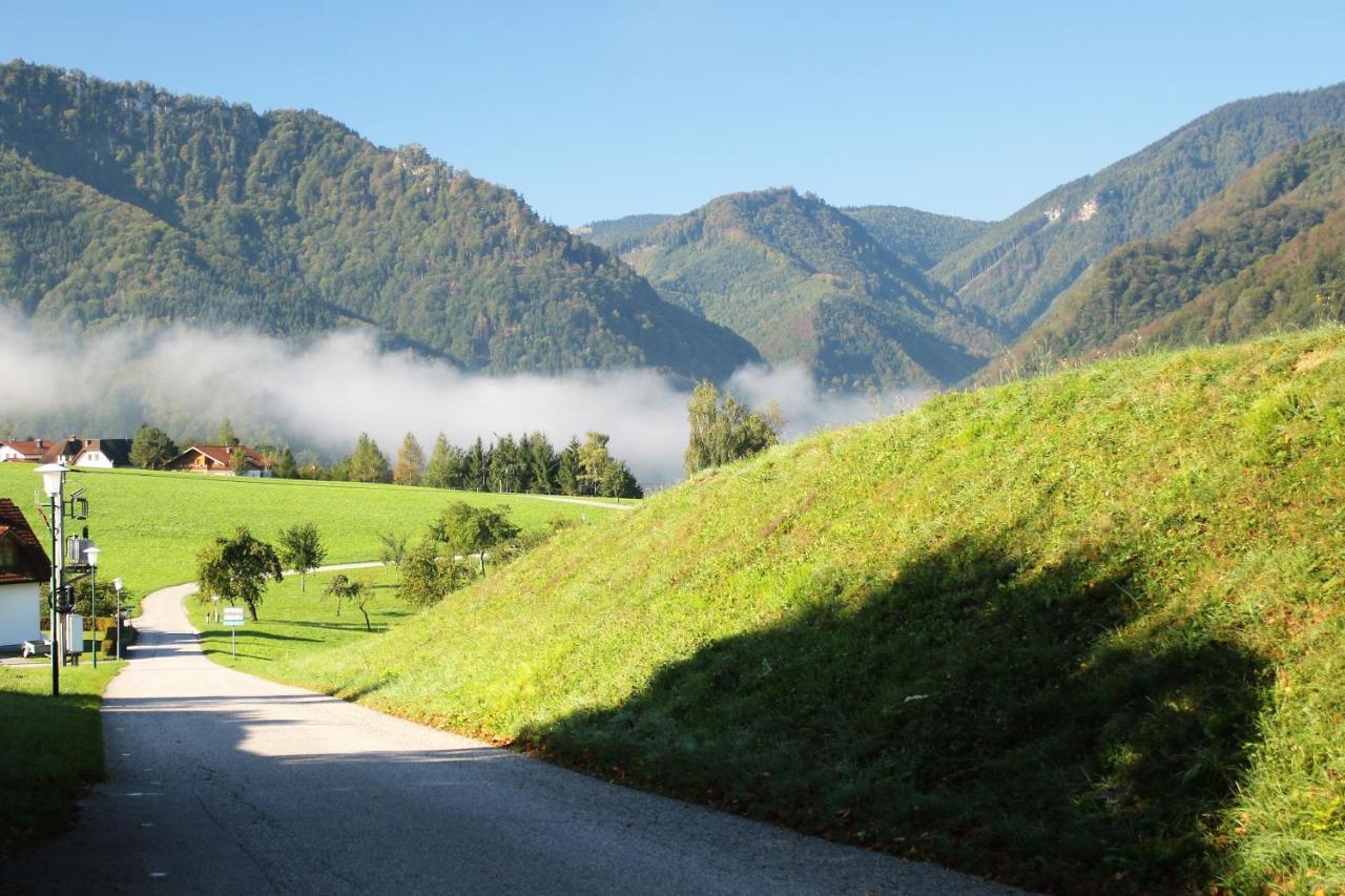 Lehnerhof Hotel Grossraming Kültér fotó