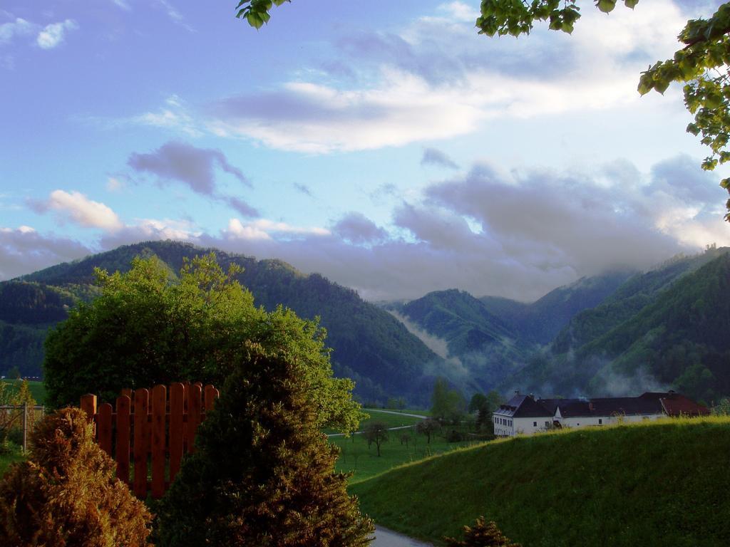 Lehnerhof Hotel Grossraming Kültér fotó